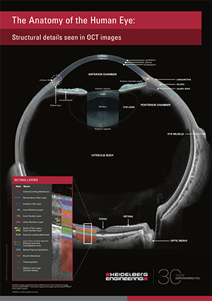 Whole Eye Poster