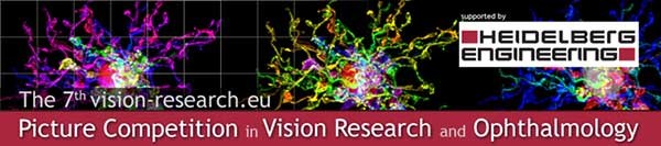Picture Competition in Vision Research & Ophthalmology