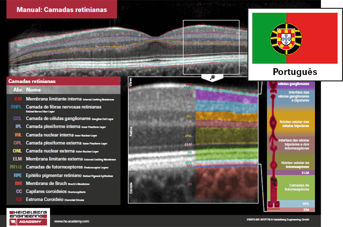 Manual "Camadas retinianas" agora disponível em português